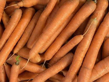 Obrázek Mrkev oranžová 1 kg