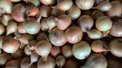 Obrázek Cibule - Všetana 1 kg