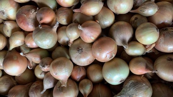 Obrázek Cibule - Všetana 1 kg