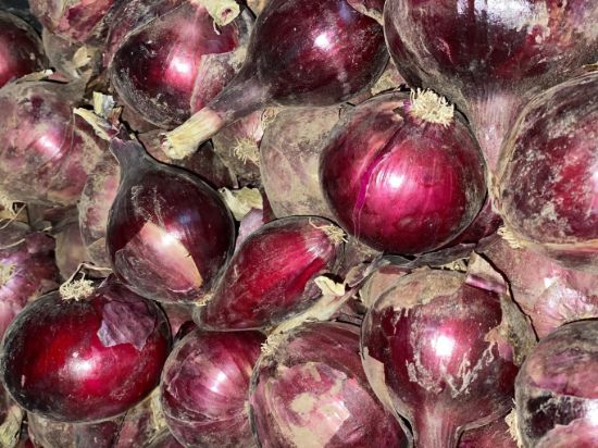 Obrázek Červená cibule Karmen 1 kg