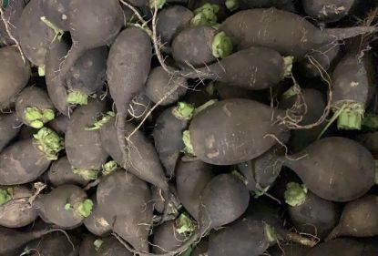 Obrázek Černá ředkev - mix velikostí, 1 kg